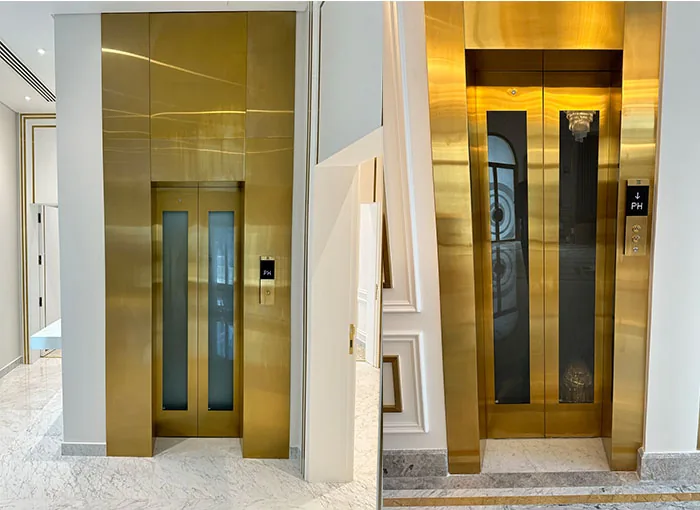 Luxury home elevator with a contemporary design